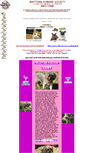 Mobile Screenshot of baytownhumanesociety.org